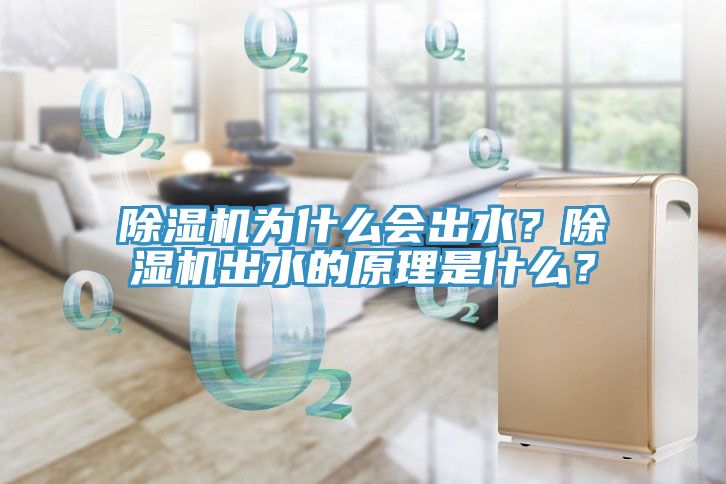 除濕機為什么會出水？除濕機出水的原理是什么？