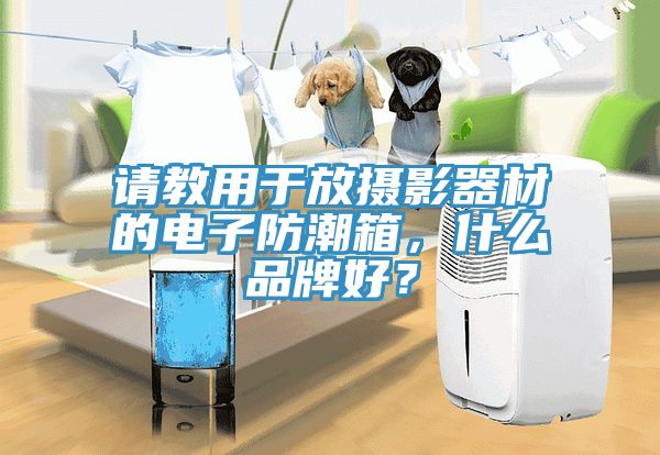 請(qǐng)教用于放攝影器材的電子防潮箱，什么品牌好？