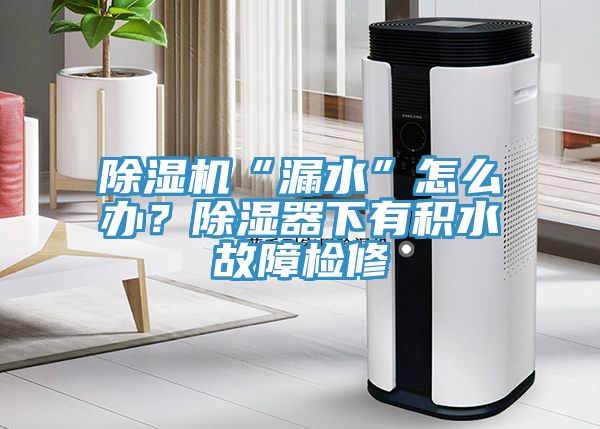 除濕機“漏水”怎么辦？除濕器下有積水故障檢修