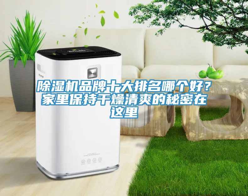 除濕機(jī)品牌十大排名哪個(gè)好？家里保持干燥清爽的秘密在這里