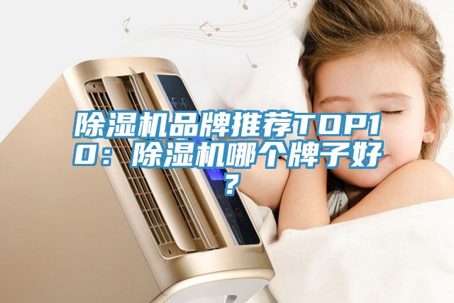 除濕機品牌推薦TOP10：除濕機哪個牌子好？