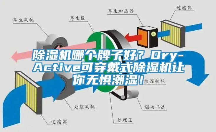 除濕機哪個牌子好？Dry-Active可穿戴式除濕機讓你無懼潮濕！