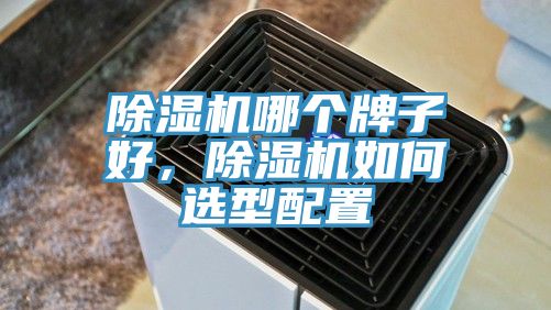 除濕機哪個牌子好，除濕機如何選型配置