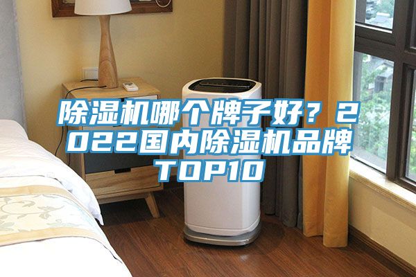 除濕機(jī)哪個(gè)牌子好？2022國內(nèi)除濕機(jī)品牌TOP10