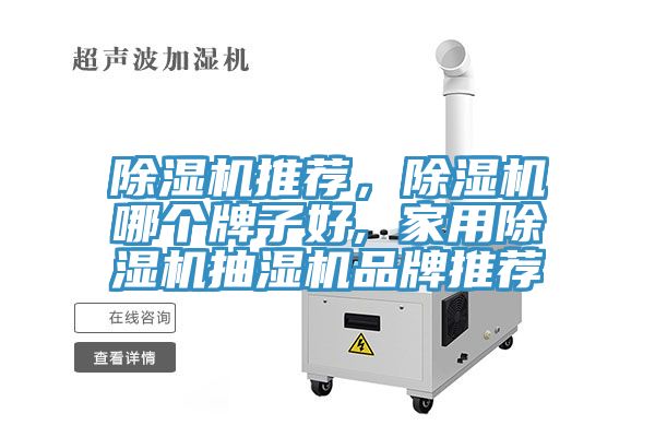 除濕機推薦，除濕機哪個牌子好, 家用除濕機抽濕機品牌推薦