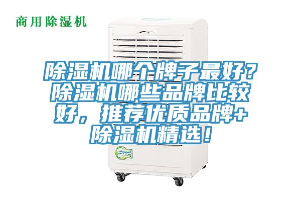 除濕機哪個牌子最好？除濕機哪些品牌比較好，推薦優(yōu)質品牌+除濕機精選！