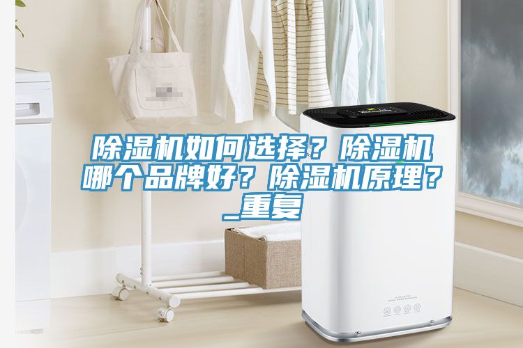 除濕機如何選擇？除濕機哪個品牌好？除濕機原理？_重復