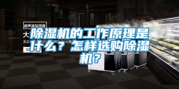 除濕機的工作原理是什么？怎樣選購除濕機？