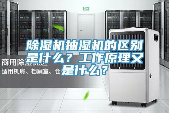 除濕機抽濕機的區(qū)別是什么？工作原理又是什么？